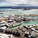 Views From Auckland Sky Tower-14