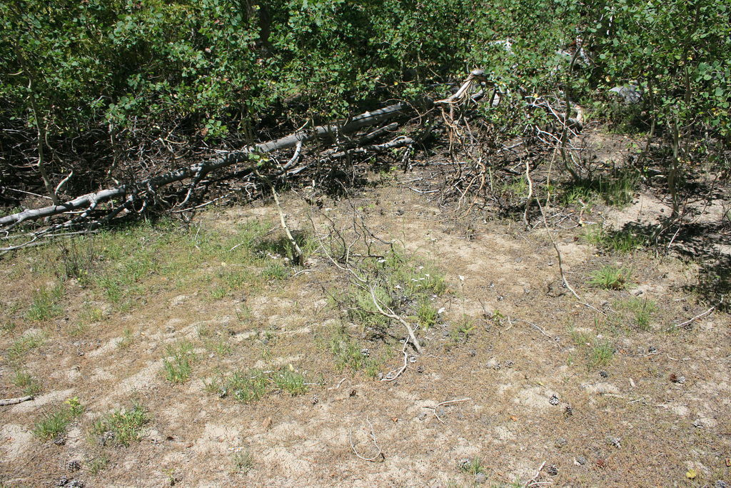 IMG 7977