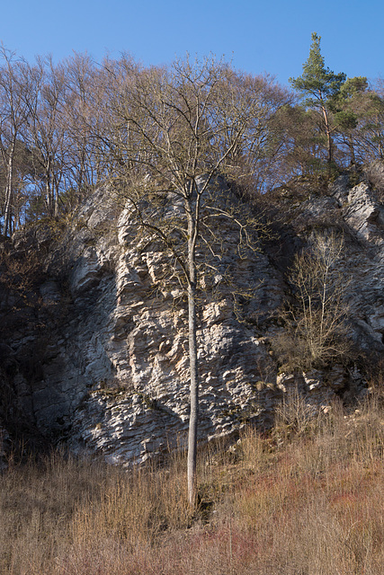 Kalkfelsen DSC00125