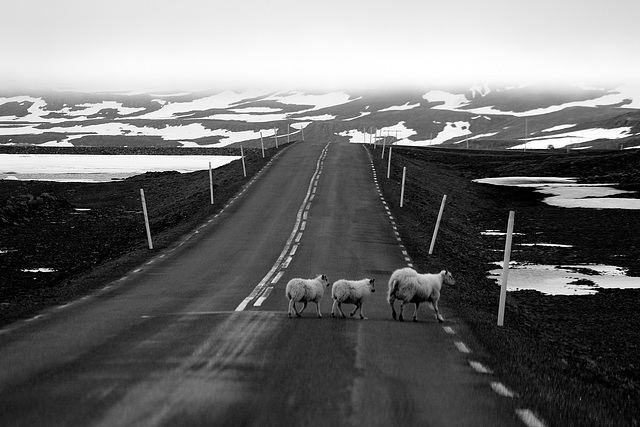 La traversée