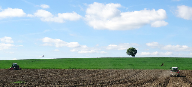 The One Tree Hill of Kemmental