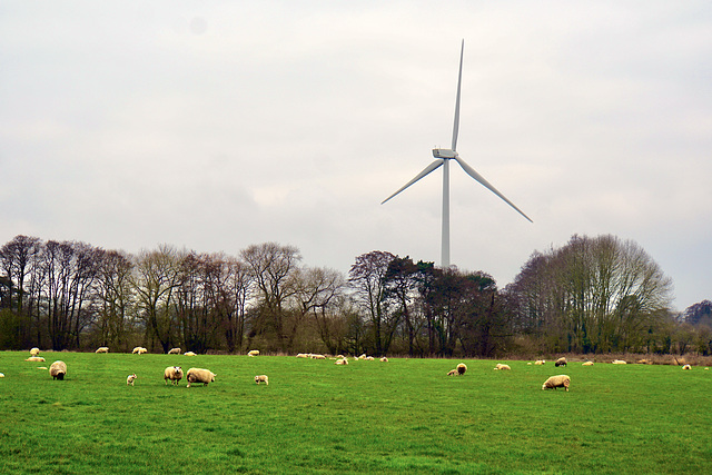 Wind turbine