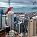 Views From Auckland Sky Tower-10