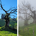 Sonnenschein und Nebel