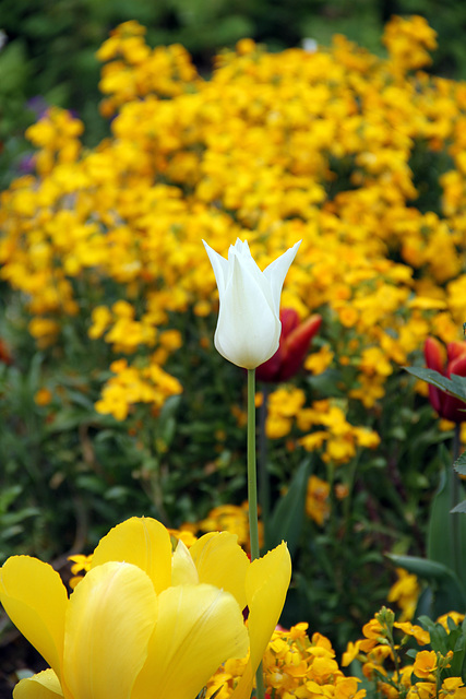 Giverny