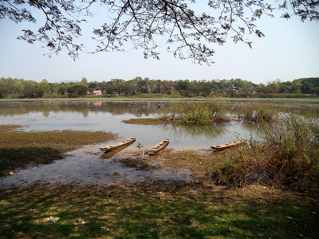 Trois pirogues au repos (3)