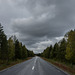 auf der E12 bei Lajsbäck (© Buelipix)