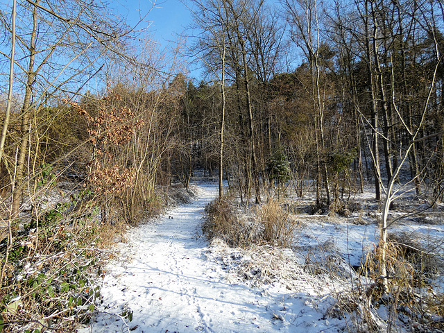 auf dem Weg zur Pfaltermühle