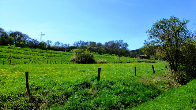 DE - Kall - Auf dem Pingenwanderweg