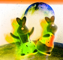 space rabbits on tour .....