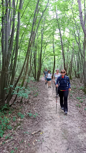 Marche nordique à Bombon 25/06/2017