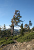 IMG 7031