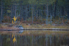 an einem der über 96.000 Seen in Schwedwen ... (© Buelipix)