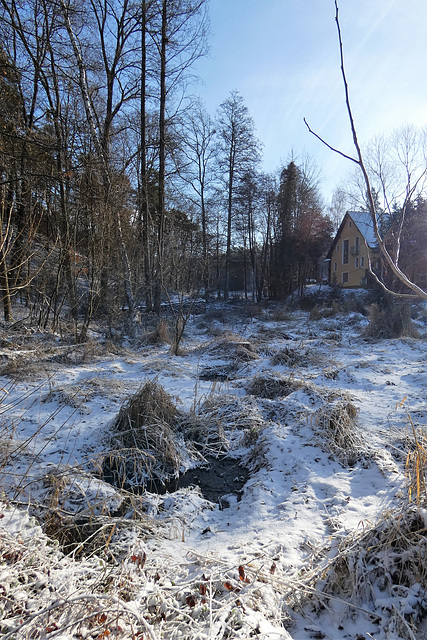 am dem Weg zur Pfaltermühle