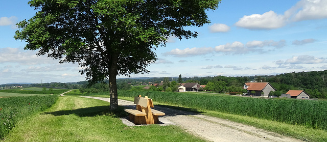 Neue Bommer Bank