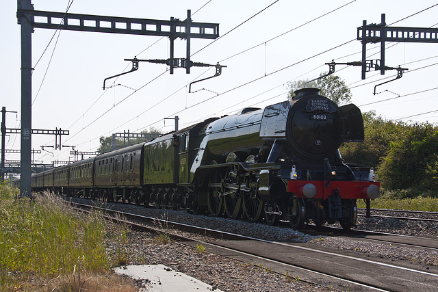 Flying Scotsman