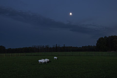 2025 365-275 2025 365-275