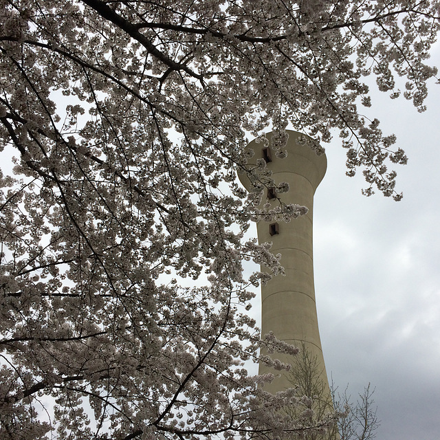 Water Tower