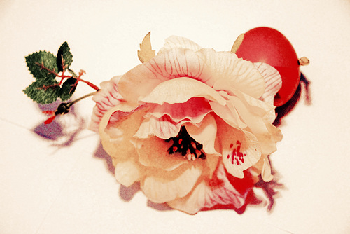 The 50-Images-Project ( 31/50 ): Eggs N' Roses