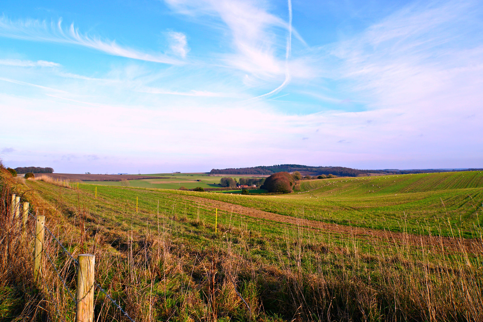 Cranborne Chase