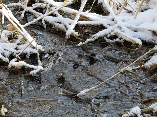 Wasser und Schnee