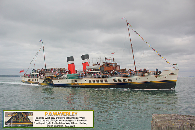 Waverley trippers arrive at Ryde Pier Head 13 9 2023