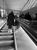Escalator