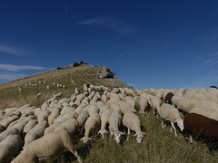 20250916 -19 Haut diois (Cascades Sapet - Valdrome) (83) rep