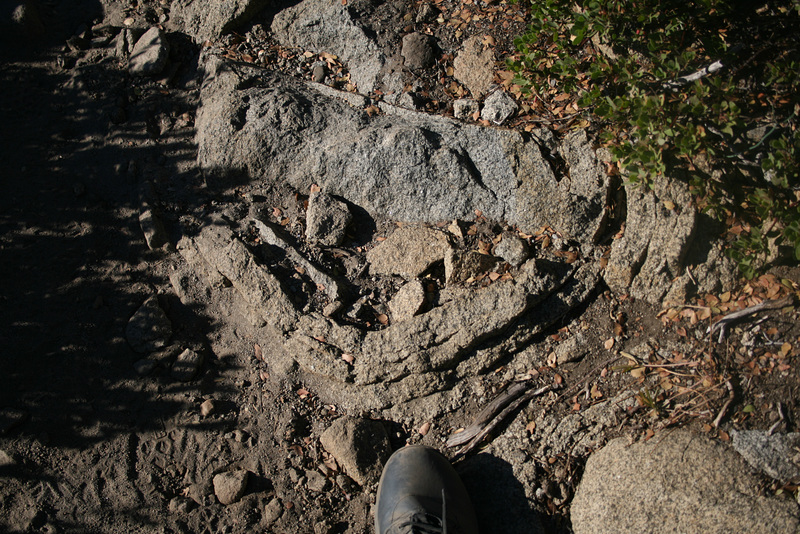 IMG 7033