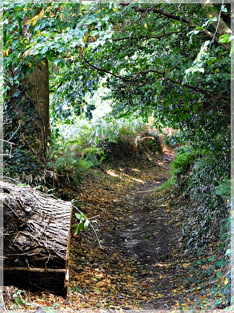 Randonnée à la vallée du Val Hervelin (22) avec note