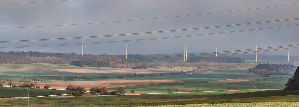 Nebel-Masten-Spargel?