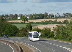 Prospect Coaches (Megabus contractor) PR71 MEG on the A11 near Red Lodge - 7 May 2022 (P1110484)