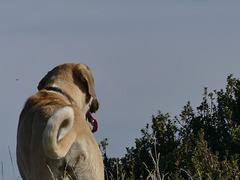 20250916 -19 Haut diois (Cascades Sapet - Valdrome) (84)