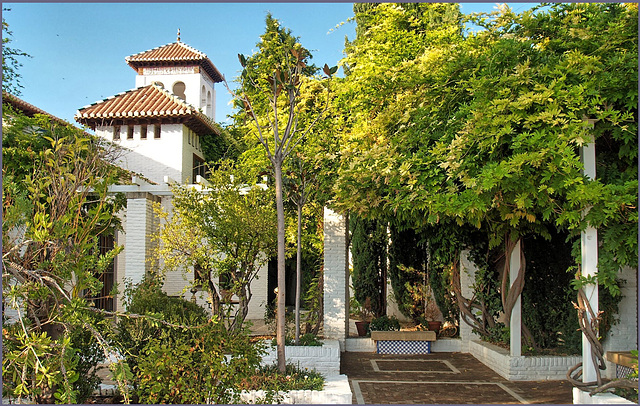 Granada El Albaicin Mezquita