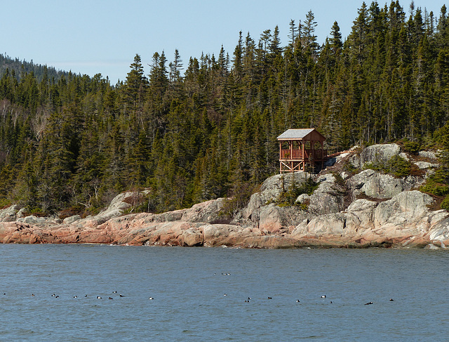 Day 6, NE of Tadoussac, Grandes-Bergeronnes, Quebec Day 6, NE of Tadoussac, Grandes-Bergeronnes, Quebec