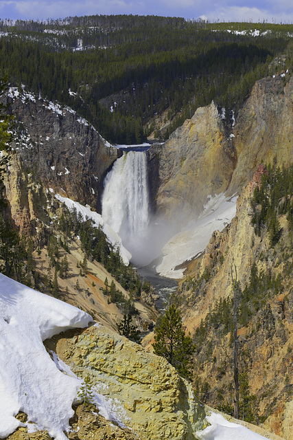 Lower Yellowstone Falls