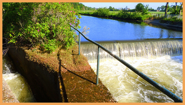 Beside  the  river Ruhr hff.....cool water