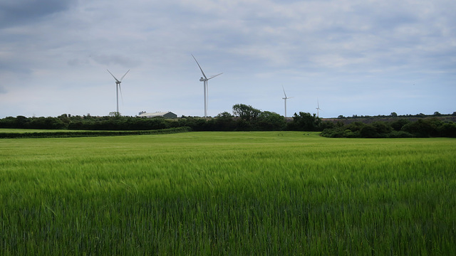 South Cornelly turbines