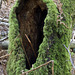 Hobbit House entrance