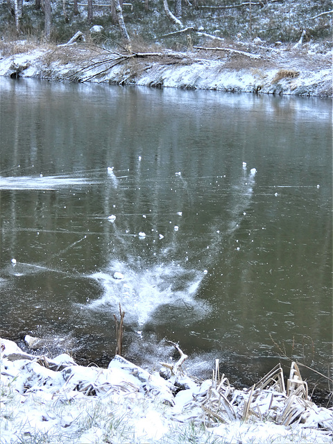 Schneebälle am Weiher