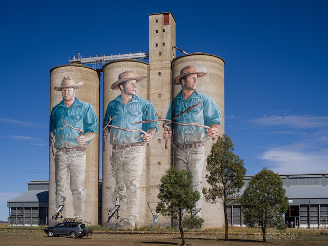 Silo art - Barraba NSW