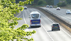 Prospect Coaches (Megabus contractor) PR71 MEG on the A11 near Red Lodge - 7 May 2022 (P1110489)