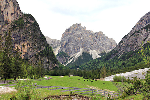 Innerfeldtal bei der Drei Schusterhütte