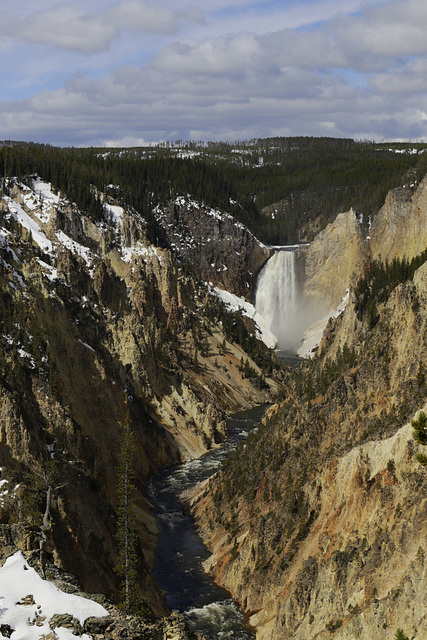 Lower Yellowstone Falls