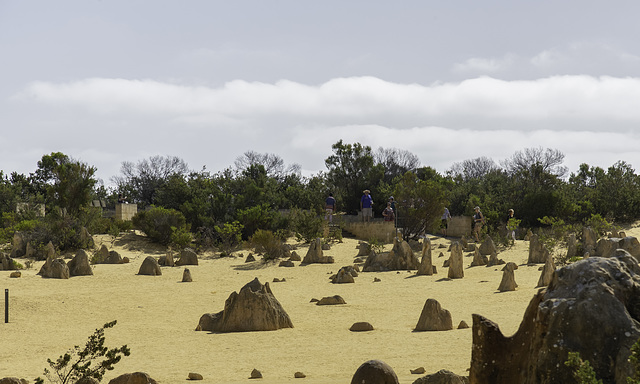 Nambung National Park- Pinnacles.