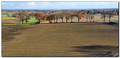 Turm-Aussicht