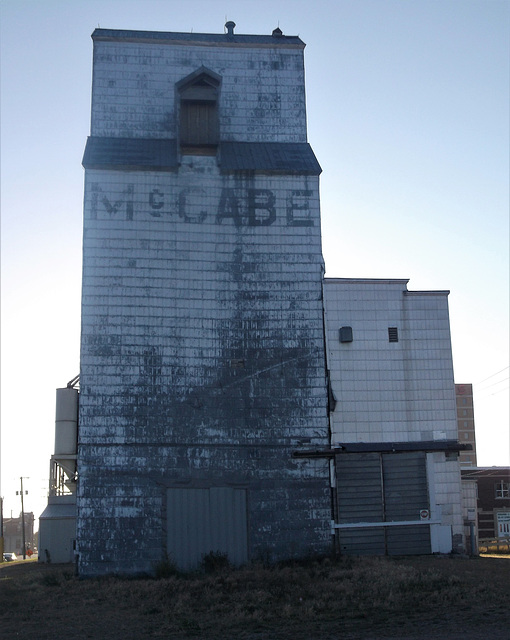 Silo McCabe (1)