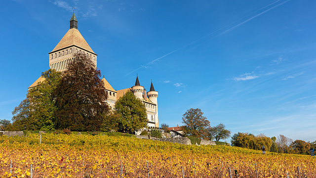 181023 Vufflens chateau