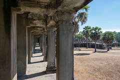 Angkor Wat (© Buelipix)