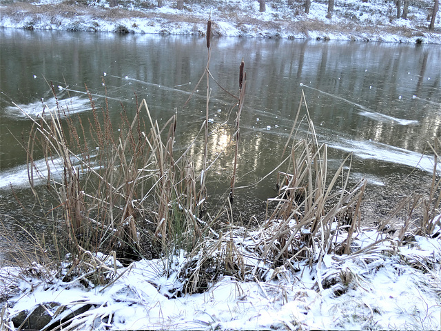 Irldrath-Weiher